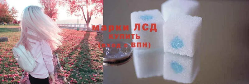 где продают   Камышин  LSD-25 экстази кислота 